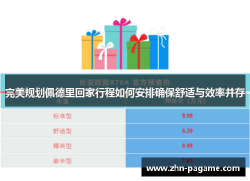 完美规划佩德里回家行程如何安排确保舒适与效率并存