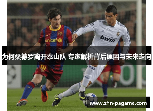 为何桑德罗离开泰山队 专家解析背后原因与未来走向