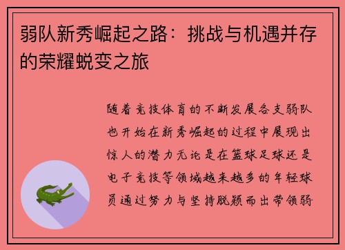 弱队新秀崛起之路：挑战与机遇并存的荣耀蜕变之旅